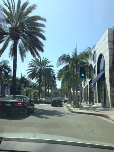 Palm trees in LA